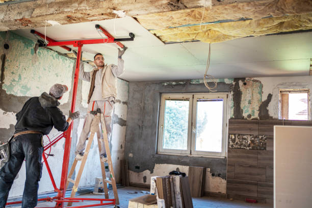 Best Attic Insulation Installation  in Schler Park, IL
